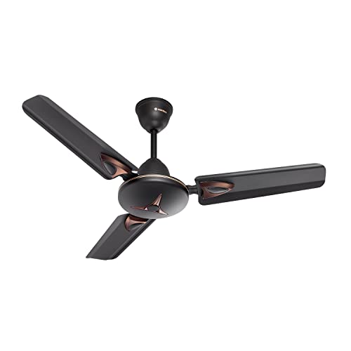 Candes Amaze 900 mm Ceiling Fans for Home | High 430 RPM Airflow & Delivery | Noiseless Small Ceiling Fan High Speed | 36 Inch Ceiling Fan with CNC Winding | 1 Yr Warranty | Coffee Brown