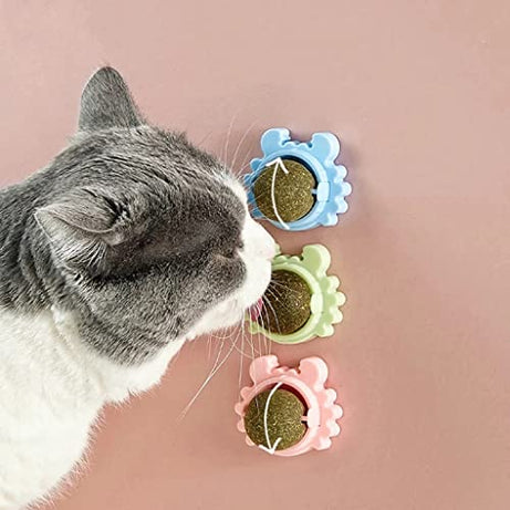 Sunkizzrs® Catnip Toy (1 Pcs) Cats Rotatable Edible Mint Natural Healthy Teeth Cleaning Chew Claw Toy for Cat/Kitten (Catnip Mint Ball)