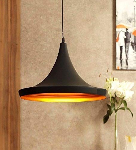 Whiteray Black Hanging Light