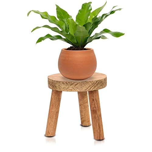 Vintageware Multipurpose 3 Leg Wooden Planter Stand for Indoor and Outdoor Wooden Stool Flower Pot Stand Vase Stand Planter Holder Pack of 1