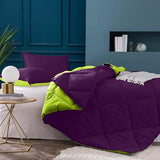 JaipurFabric Microfiber Solid Double Bed Comforter || Quilt||AC Blanket|| Dohar for AC Room & Winter Season (Colour:- Purple Green)