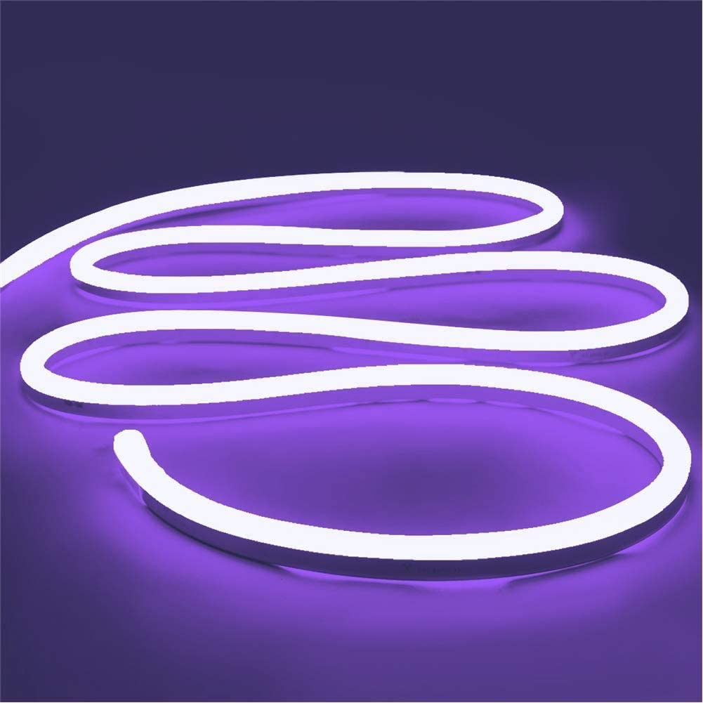 amiciCare Purple Neon LED Strip Light | 5m Long, Waterproof Decoration String Light with DC12V Adapter and Blinker, 5 meters