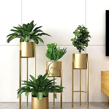 Rizik Store™ Modern Metal Floor Flower Stands for Living Room Bedroom Display Plant Stand Tall Indoor Plant Stand with Planter Pot | Gold |