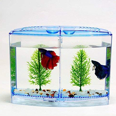 Taiyo Plastic Betta Tank (Double) for Fish