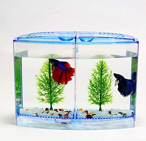 Taiyo Plastic Betta Tank (Double) for Fish