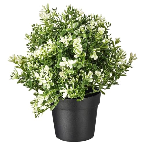 PAPERI Artificial Thyme Plant for Home Décor – Living Room Decoration Items, Office Desk Show Pieces, Fake Plant for Bathroom Decorations, Indoor Decorative Plastic Green Leaves with Pot for Table