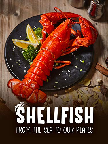 Shellfish: From The Sea To Our Plates