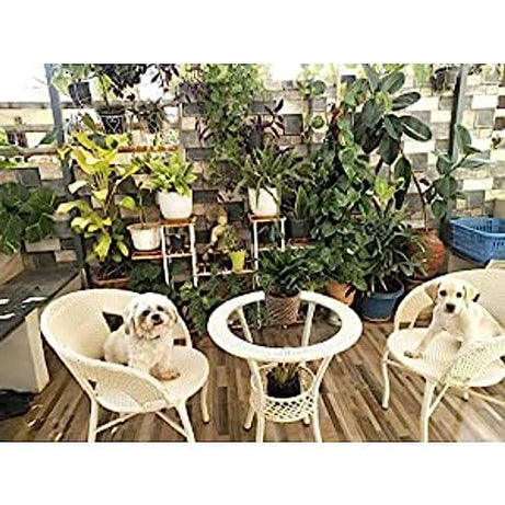 FLOOR DECOR D-12 Outdoor Furniture Garden Patio Seating Set (2 Chairs+1 Table Set) Balcony Furniture Coffee Table Set