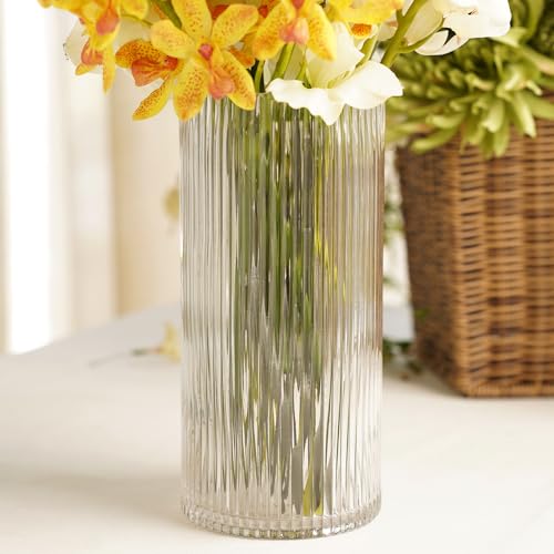 Pure Home + Living Clear Ribbed Straight Glass Vase - Large