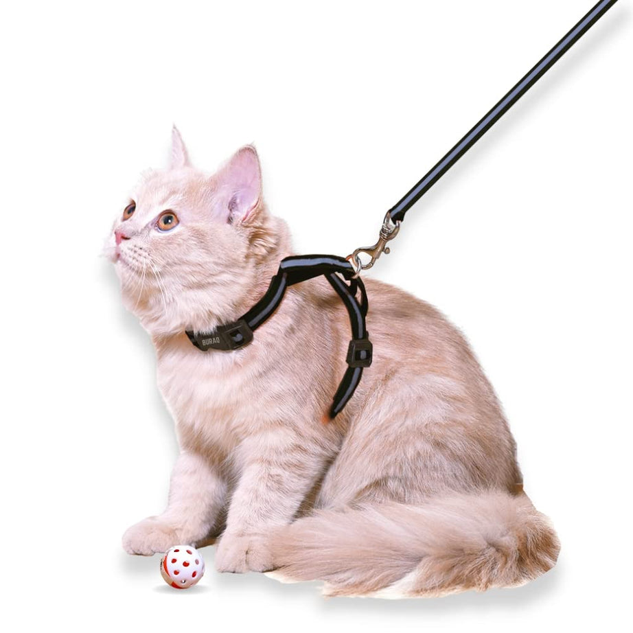 BURAQ Reflective Cat Harness With Leash Set - For Walking|Escape Proof|With Reflective Strip|Adjustable & Durable|Accesories For Cats (Black), Pack of 1