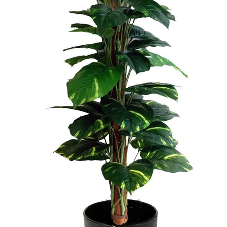 HYPERBOLES Indoor Artificial Plant Big Size Money Plant Tree for Home Decor - 5Feet