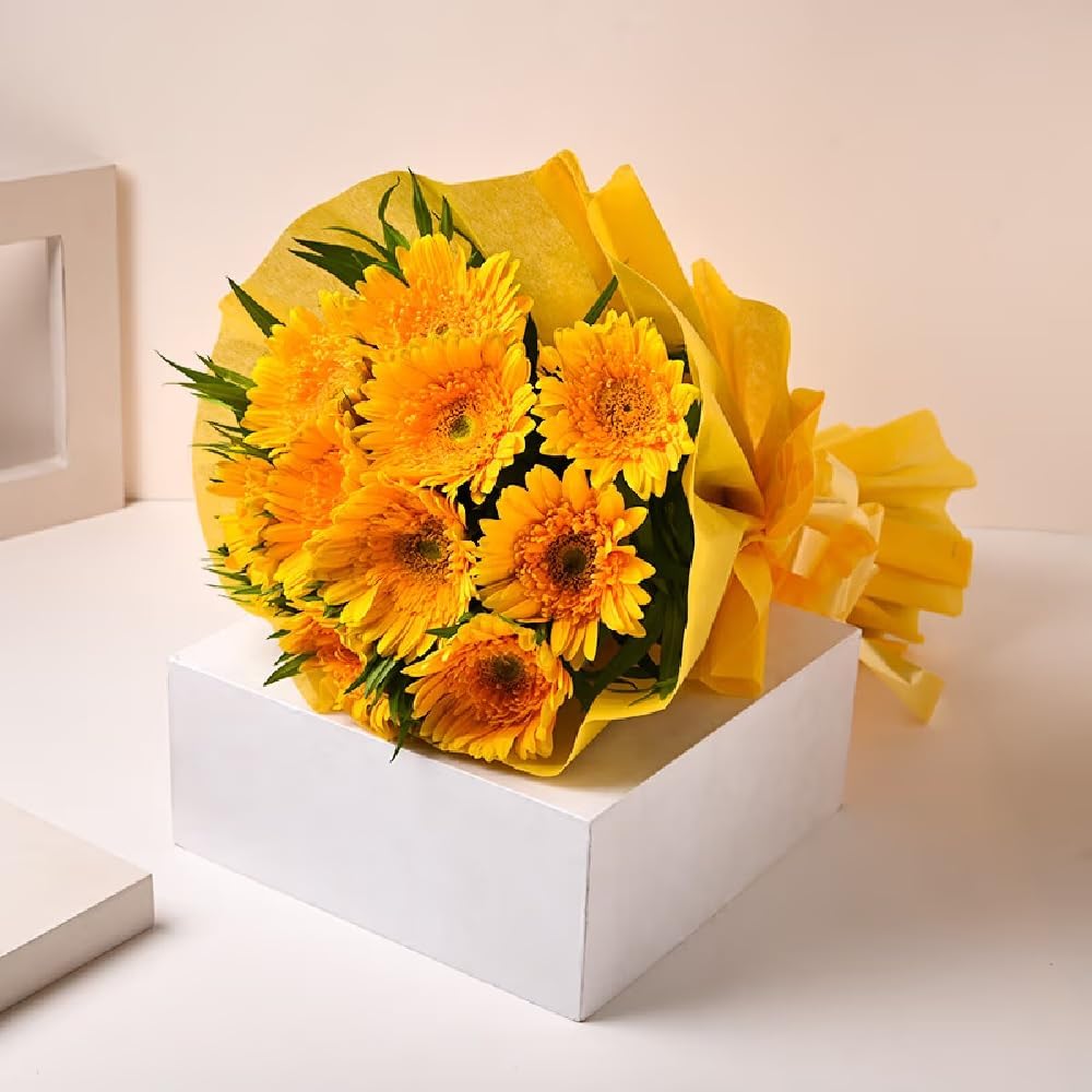 FlowerAura Decorative Bunch 10 Fresh Live Yellow Gerberas Flowers Bouquet Valentine's Day Gifts For Girlfriend, Boyfriend, Wife & Husband (Same Day Delivery)