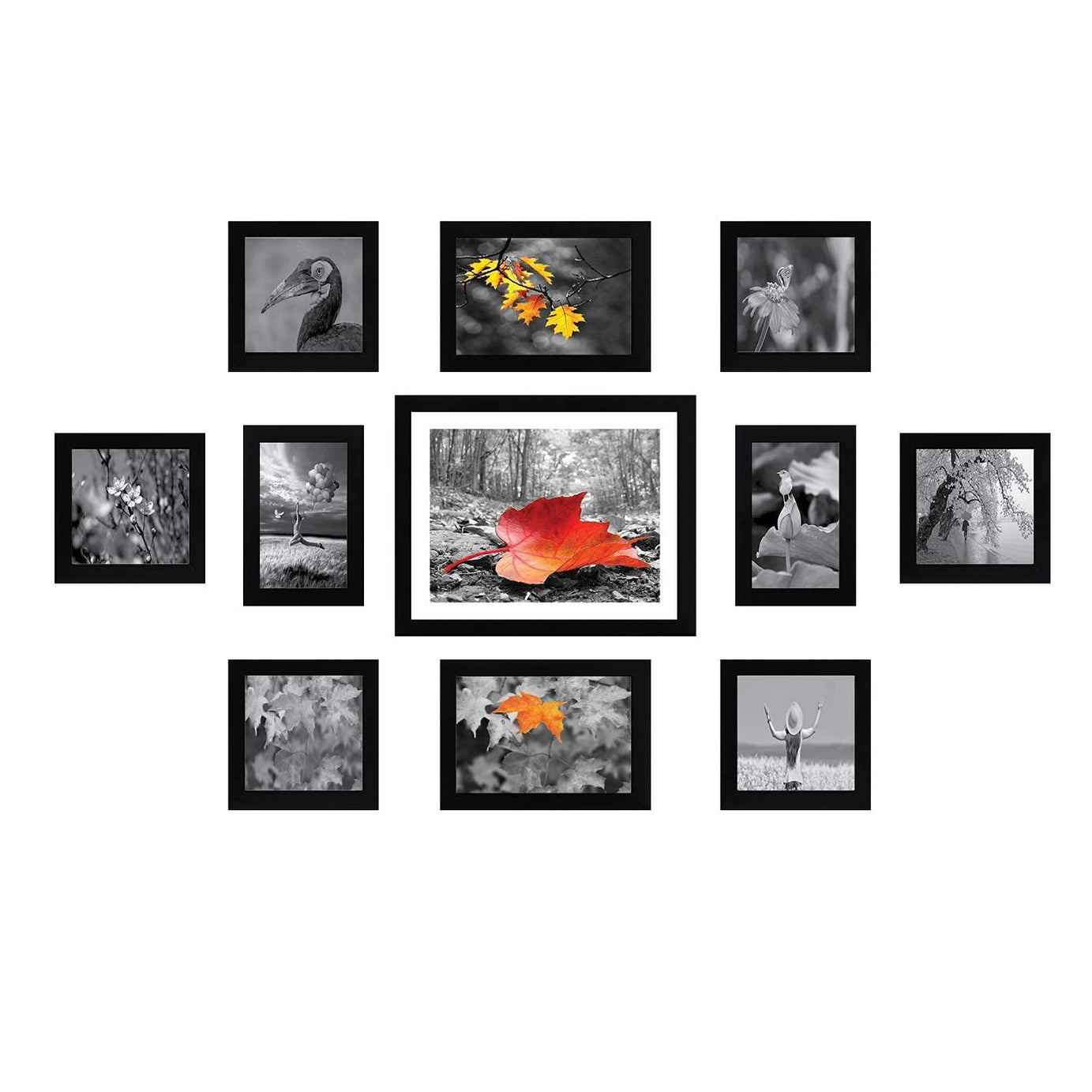 Amazon Brand - Solimo Collage Set of 11 Black Photo Frames ( 4 x 6 Inch - 2 & 5 X 5 Inch - 6, 5 X 7 inch - 2 & 8 X 10 inch - 1 ), Rectangular, Synthetic, Tabletop