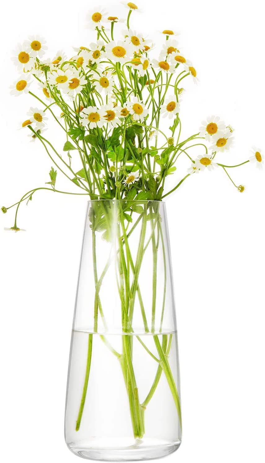 BS AMOR Clear Glass Vase for Decor Home Handmade Modern Large Flower Vases for Centerpieces Living Room Kitchen Office Wedding 8.7 Inch (Clear)