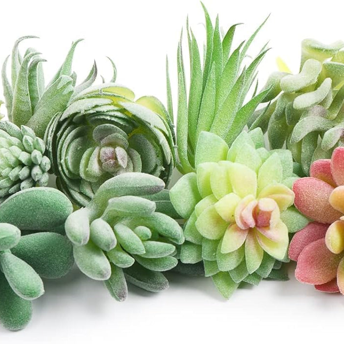 Dekorly Artificial Succulents Mini Fake Plants Unpotted Faux Succulent for Craft, Small Plastic Succulents Flocked Green Floral Decor for Party, Cake, Garden & Outdoor | without Pot (Pack of 6 Pcs)