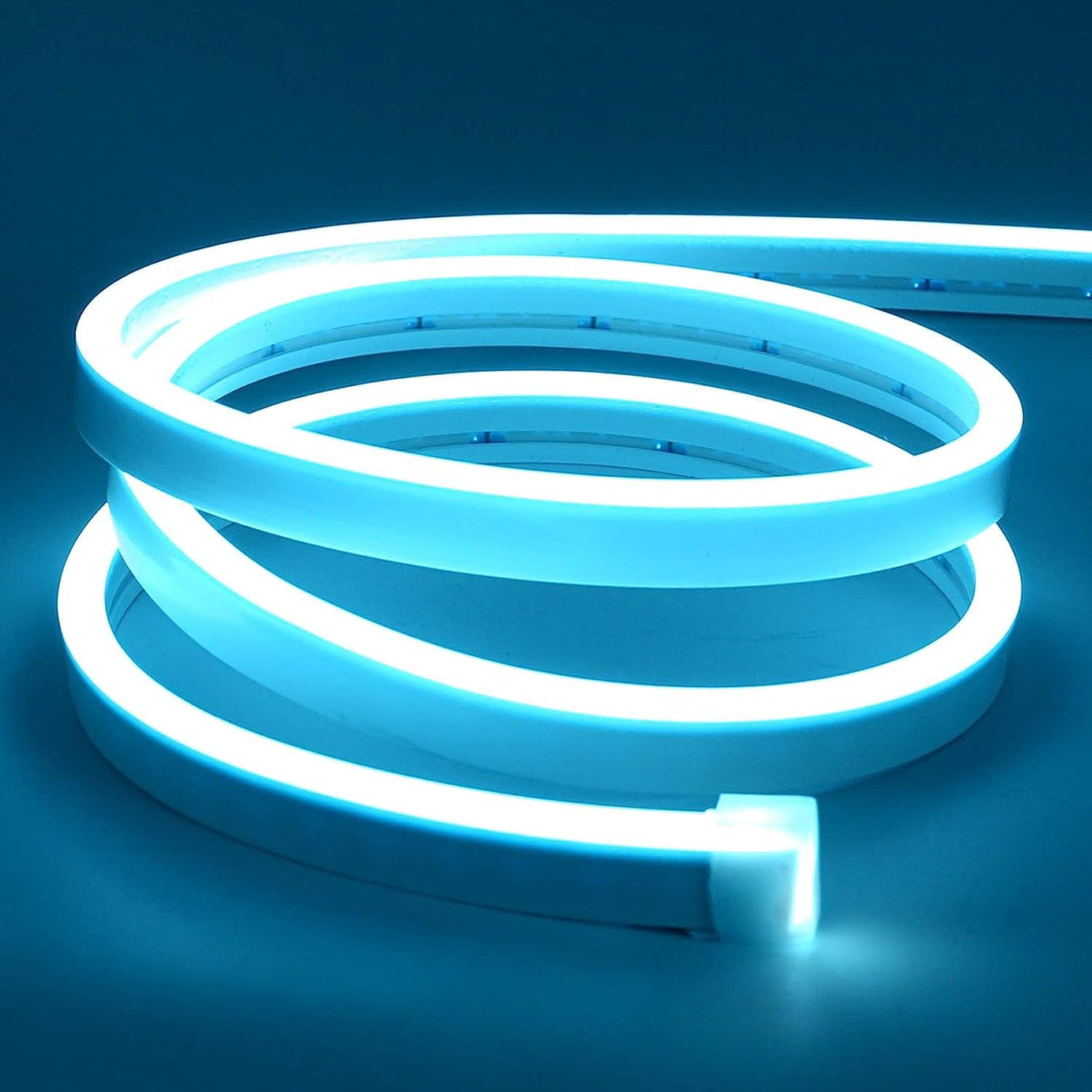 XERGY Led Neon Strip Lights ,Ip67 Waterproof Neon Rope Light For Indoor Outdoor Home Decoration (Ice Blue,12V 2A Power Adapter Included),5 meters