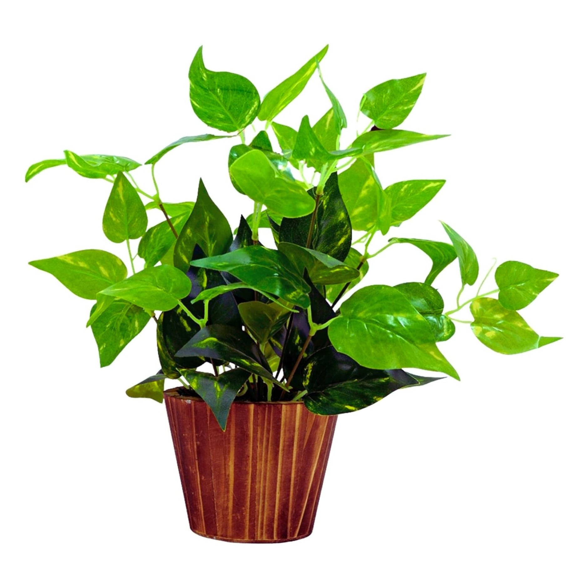 fancymart Artificial Money Plant Leaves in Wood Pot Pefect Decoration for Home & Office Space