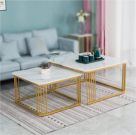 WOODWALLZ Square Coffee Tables,2 Square Coffee Table Set Coffee Table with Storage Open Shelf for Living Room Modern Minimalist Style Furniture Side End Table (Gold & White n)