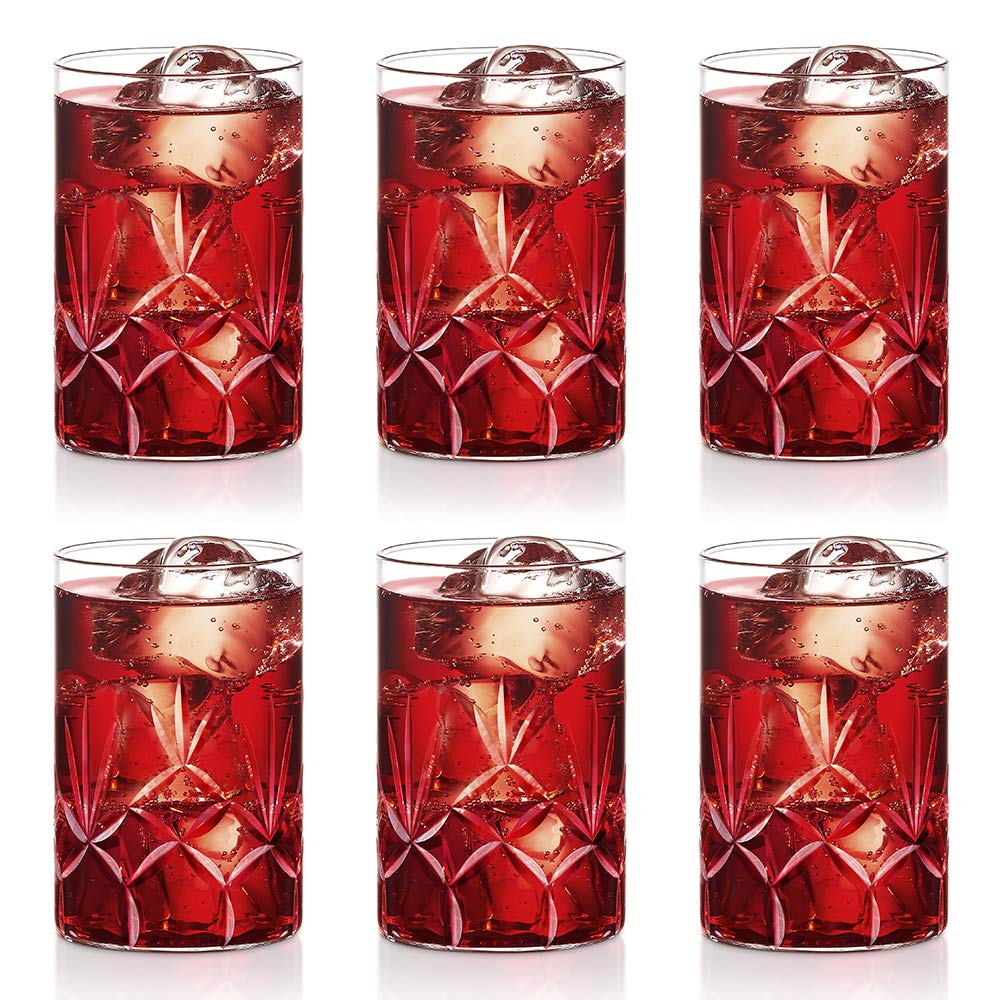 Borosil 295 ml Set of 6 pcs Meadow Vision Transparent Drinking Glass | Borosilicate Glass Tumblers for Water, Cold Drinks, Juice| Flame Proof, Microwave & Dishwasher Safe | for Daily use & Gifting