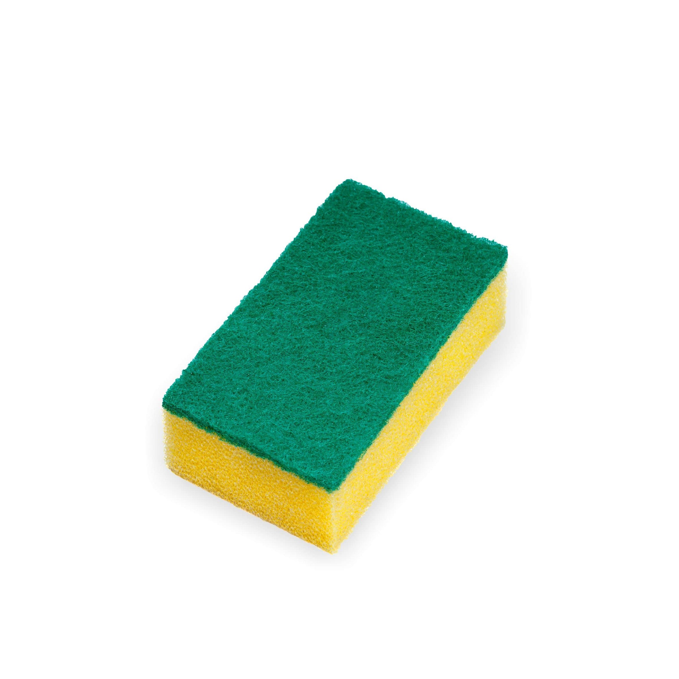 Sparkmate By Crystal Nylon Sponge & Scrub Pad, 2 in 1