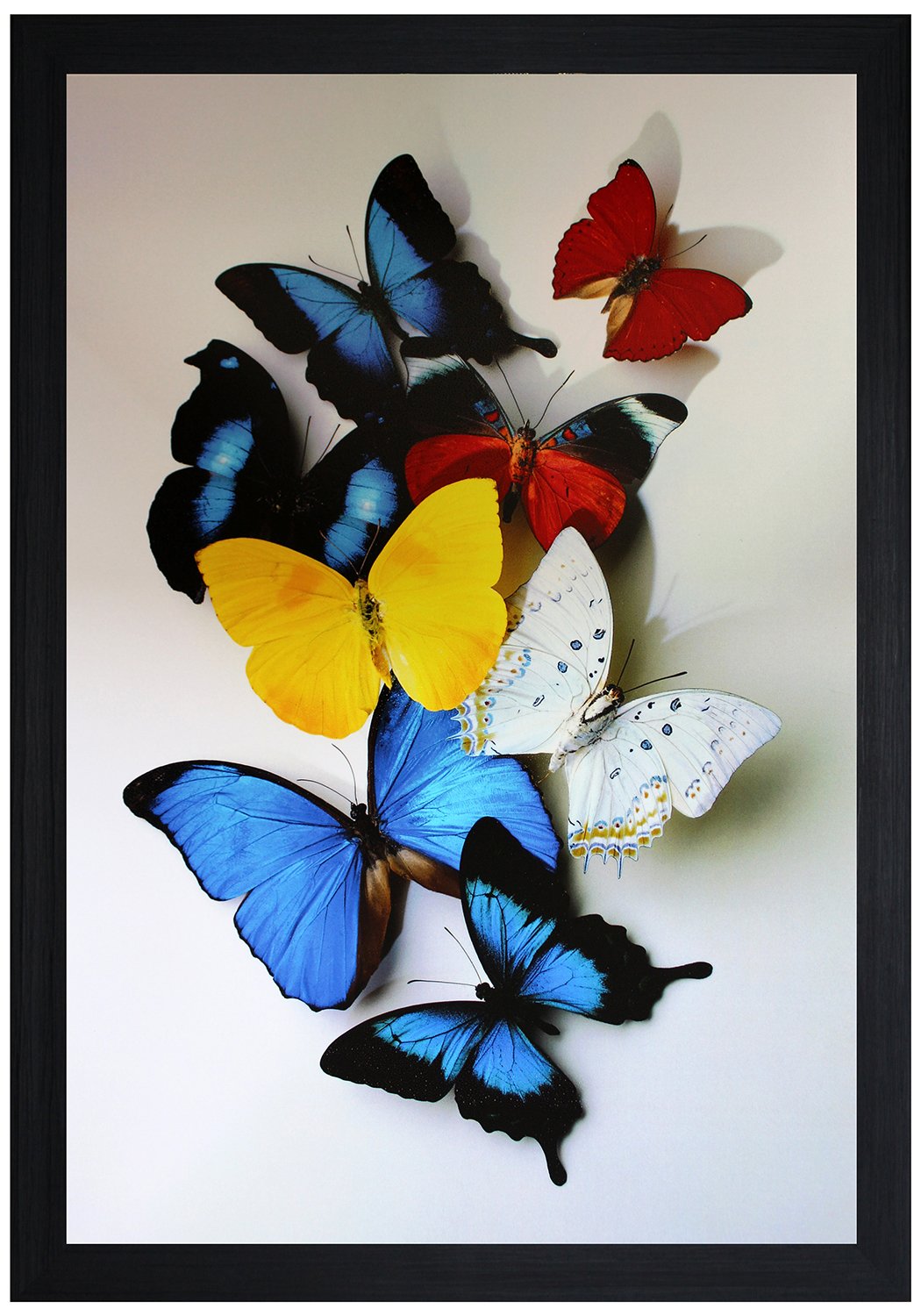 SAF paintings SANFO468 Butterfly Modern Art UV Coated Painting with Frame for Home Decor (Multicolor, 14" x 20")