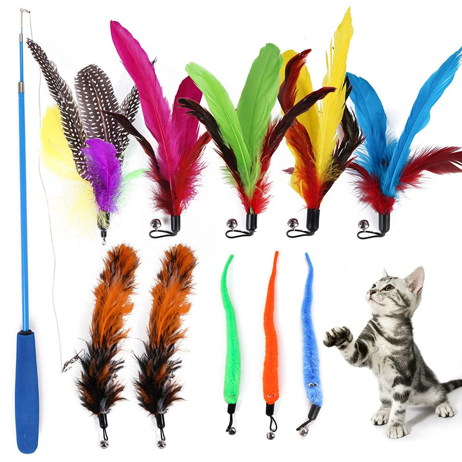 Qpets® Cat Toys - Interactive 11 Piece Cat Toy Set with Retractable Wands and Feather Worm Toys - Kitten Toys Variety of Vibrant Colours - Activity Toys to Exercise Cats and Kittens