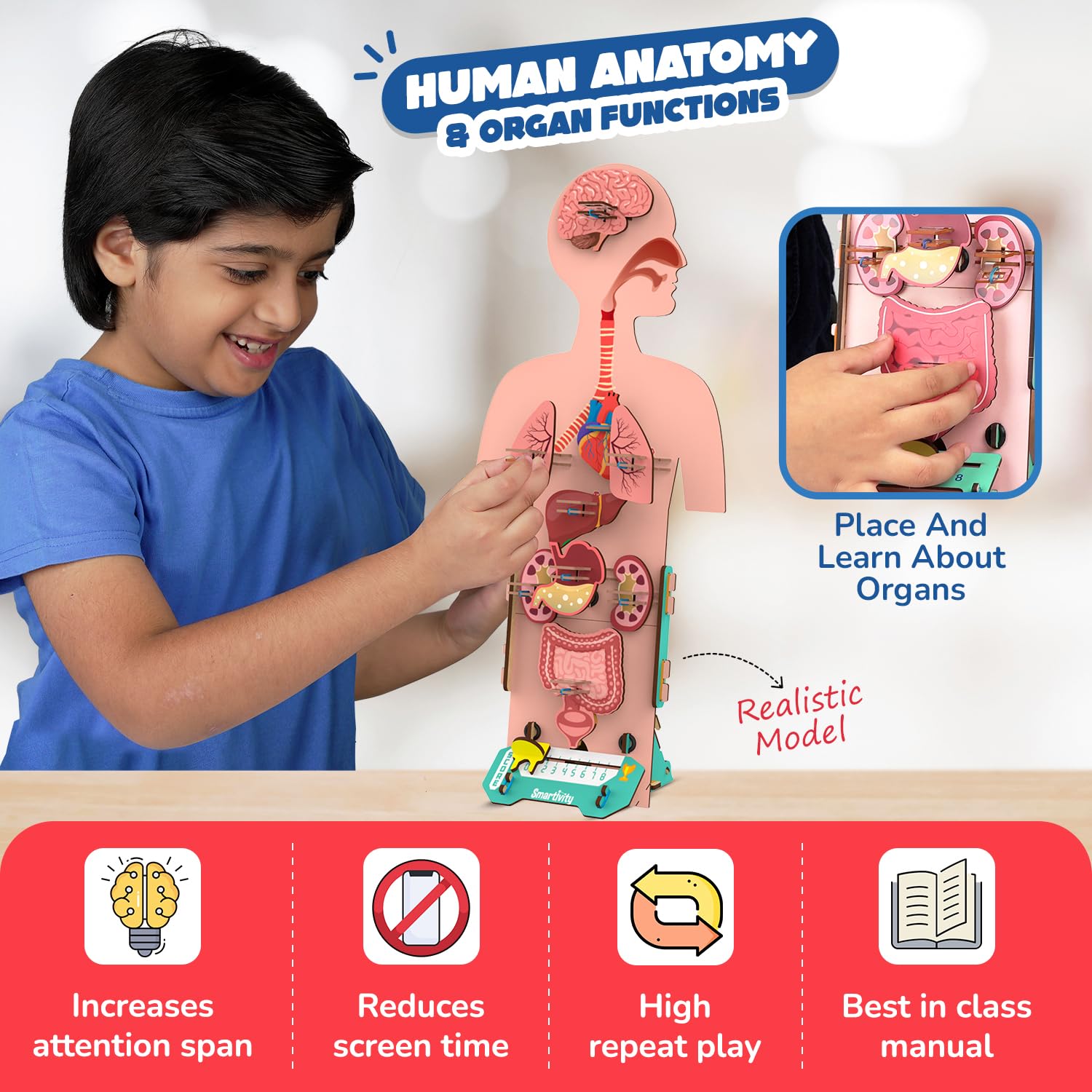 Smartivity Human Body Toy for Kids 6-12 Years | Body Organs & Functions | Birthday Gifts for Boys & Girls | DIY Science Toys for Kids 6,7,8,9,10,11,12,13,14 Years Old I STEM Wooden Construction Game