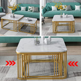 WOODWALLZ Square Coffee Tables,2 Square Coffee Table Set Coffee Table with Storage Open Shelf for Living Room Modern Minimalist Style Furniture Side End Table (Gold & White n)