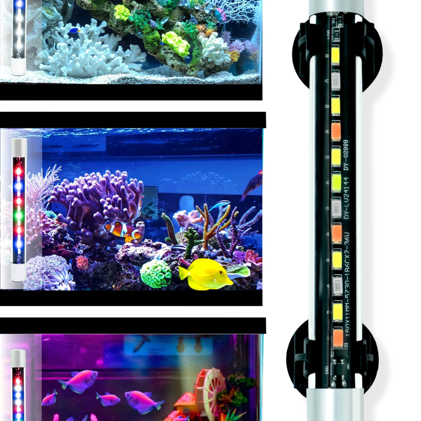 BURAQ Pets Mini Multi-Colour Aquarium Light For Making Your Fish Tank Superior, Light Changing Fish Tank Light Switch, Ideal For Fish Aquarium, Fully Submersible Aquarium Lights (Up To 1.5 Ft Tank)