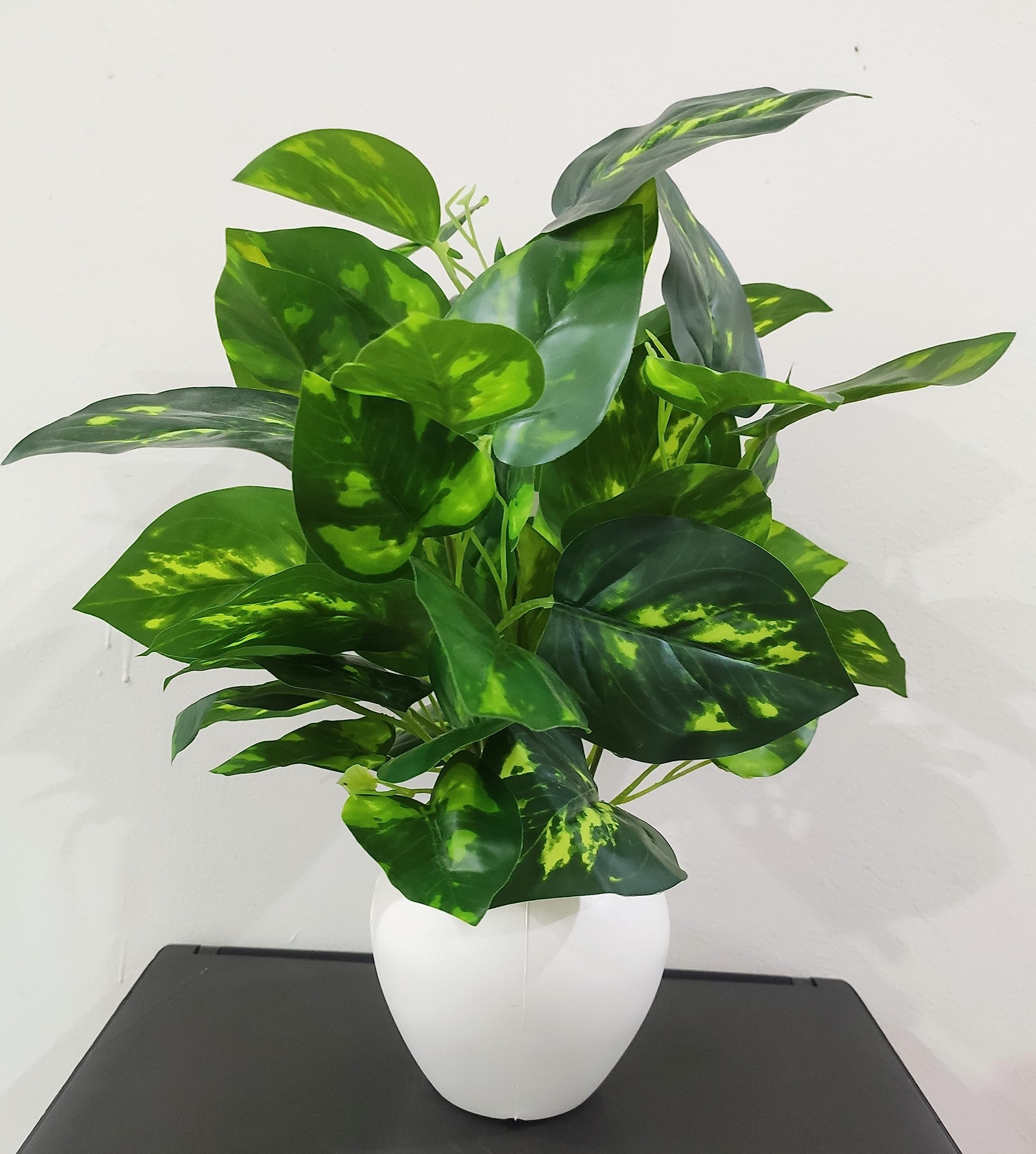 BAARIG Natural Looking Artificial Money Plant/Tree with Pot | Ornamental Plant for Interior Decor | Home/Shop/Office Décor (Multicolour)