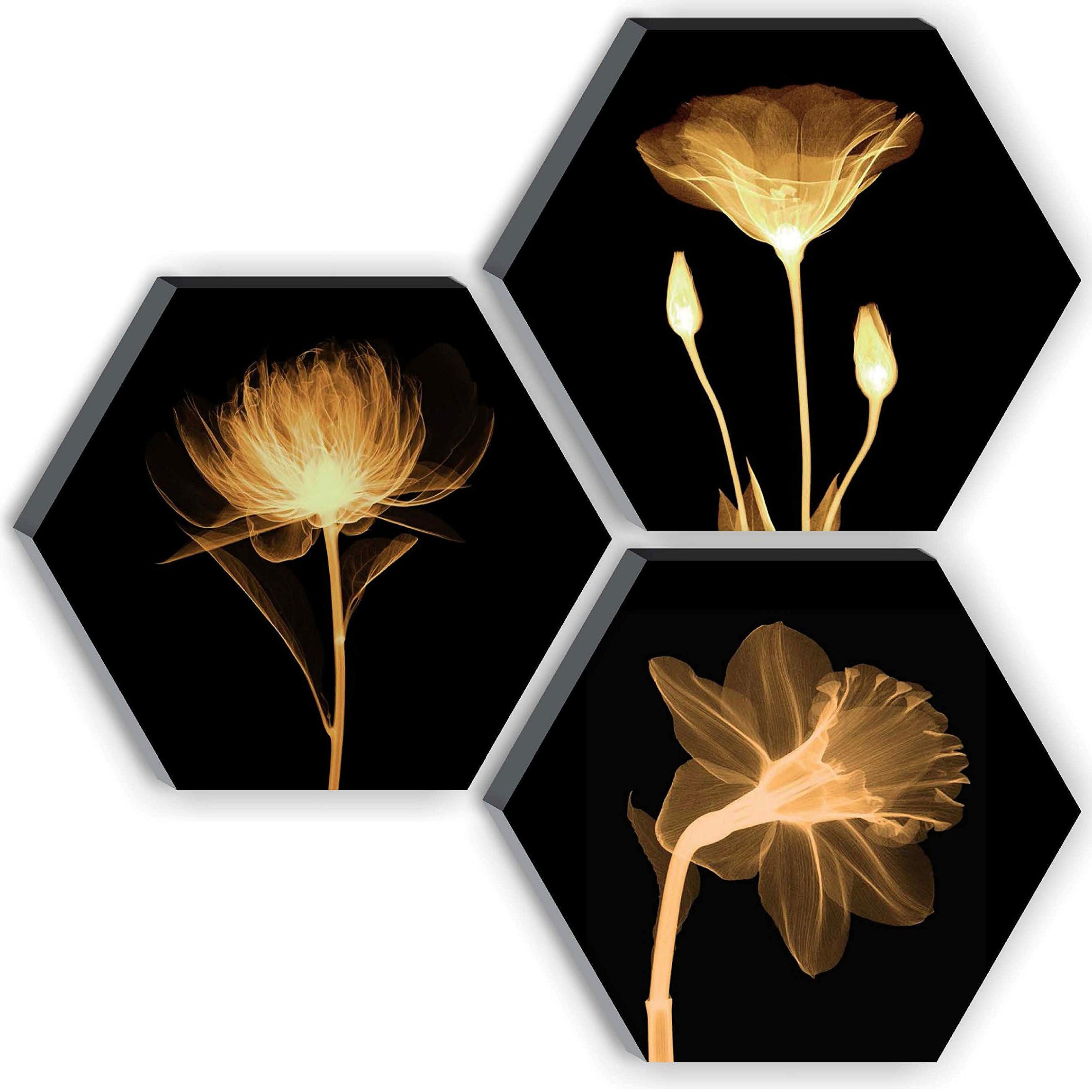 SAF Synthetic Uv Textured Flower Designer 6Mm Mdf Hexagon Set Of 3 Digital Reprint Painting (21 Inches X 21 Inches) Sanfhx15