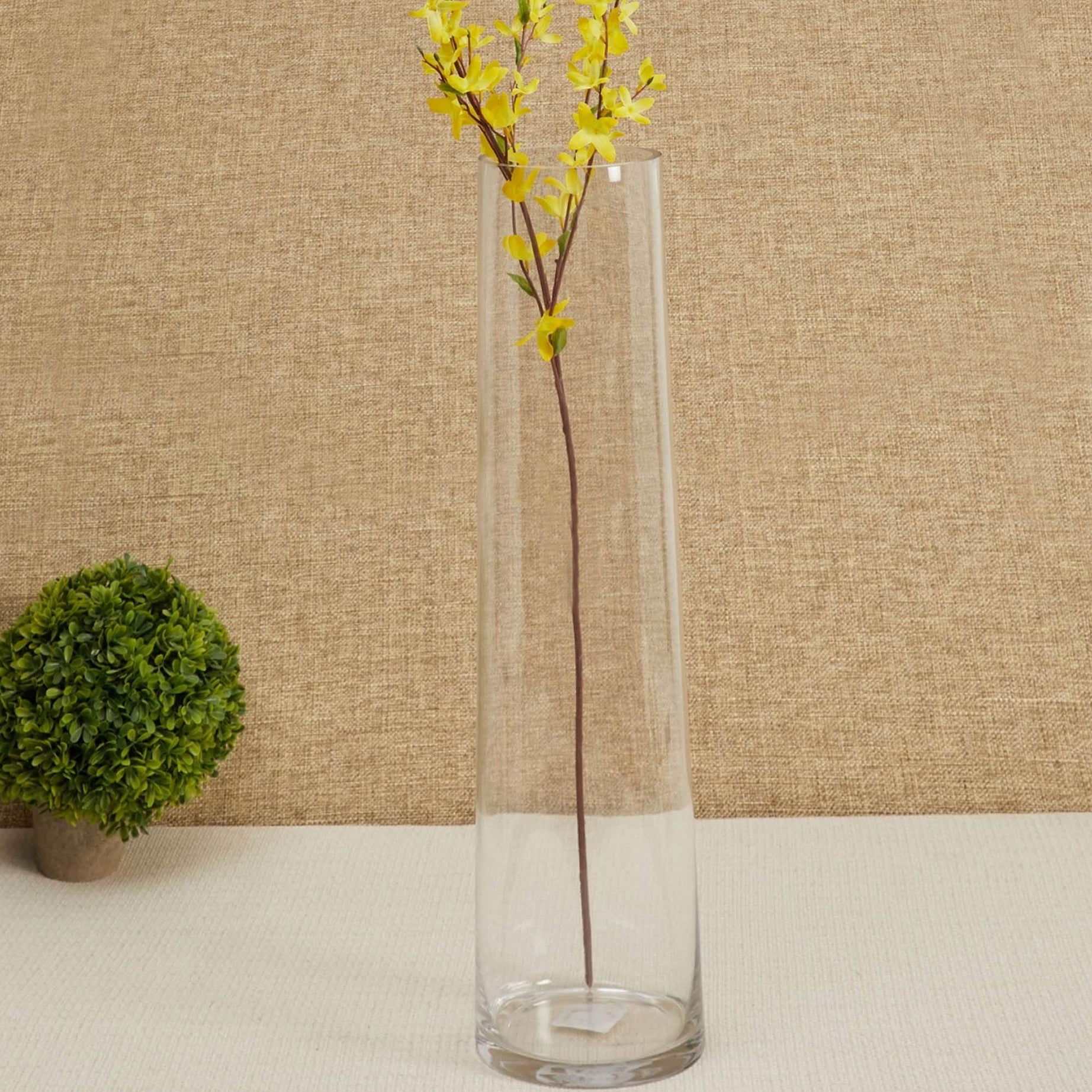 TIED RIBBONS Glass Round Vase For Flowers And Plants Living Room Home Décor Table Centerpiece Wall Shelf Home Decoration (8 X 29 Cm, Clear Without Flowers, Clear)