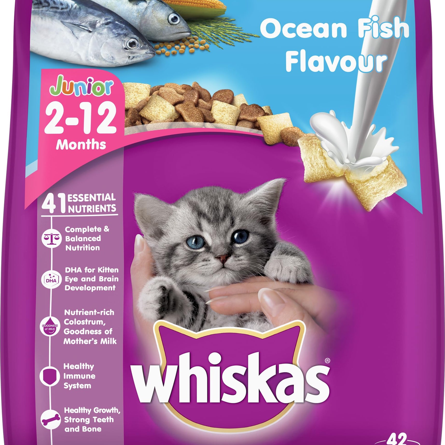 Whiskas Kitten (2-12 months) Dry Cat Food, Ocean Fish Flavour with Milk, 3kg Pack (packaging may vary)