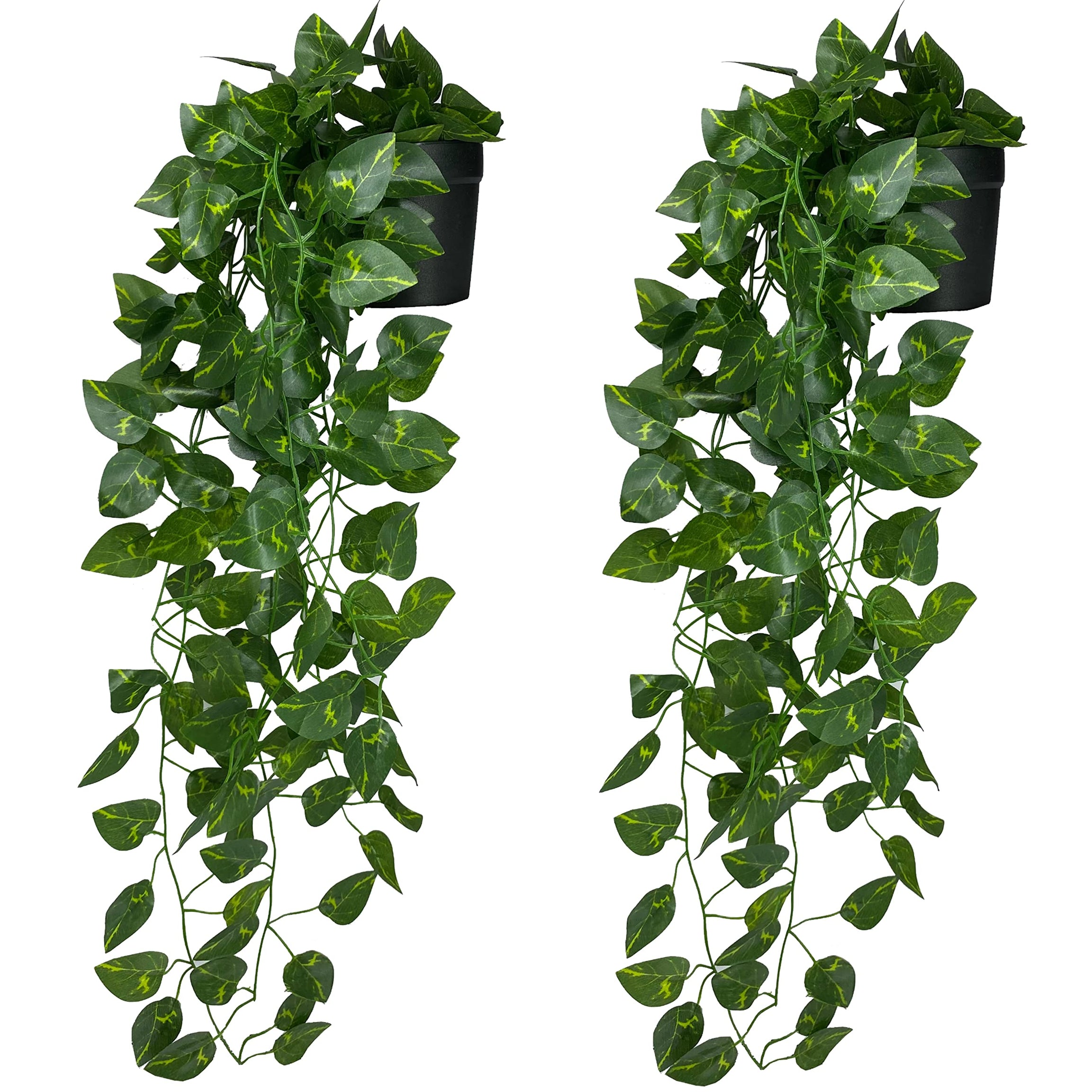 Tdas Artificial Plants with Pot Leaves Hanging Ivy Garlands Plant Greenery Vine Creeper Home Decor Door Wall Balcony Decoration Party Festival Craft (2 Pcs Money Plants) Plastic